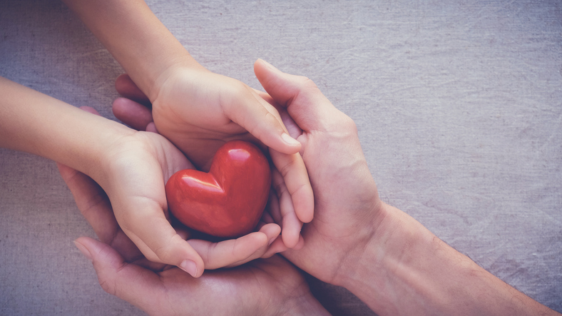 adult and child hands holiding red heart, health care love and family concept